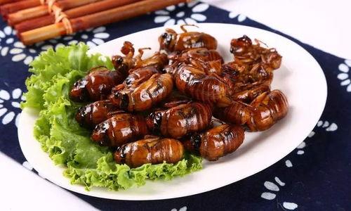 吃瓜黑料精品一区 独家爆料喜相迎酒店,吃瓜黑料一区精彩大揭秘